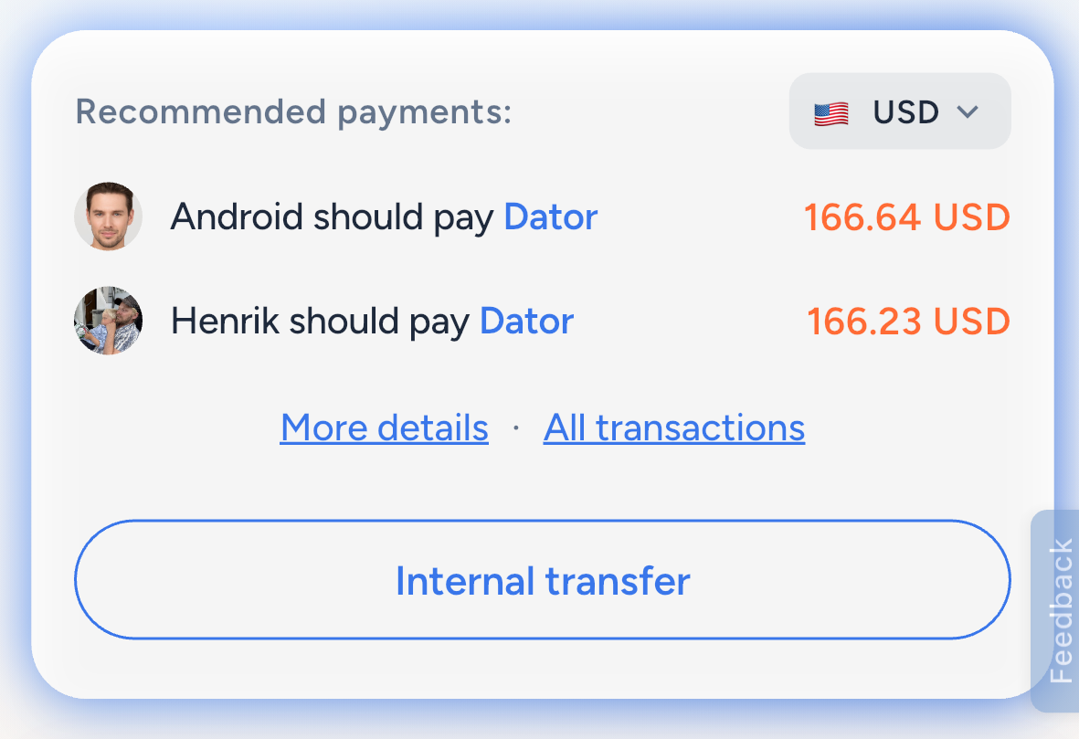 Split costs and balances overview in Plandra
